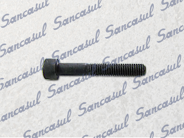 TORNILLO CONTROLE DE CAP. DE CONTROLE - 16X11