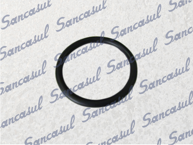 SMALLER O'RING FOR SHAFT SEAL SMC65