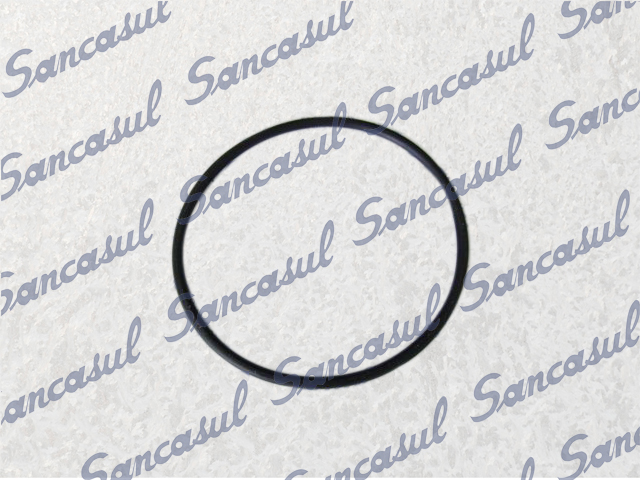 O'RING  FOR BALANCED SHAFT SEAL SMC100