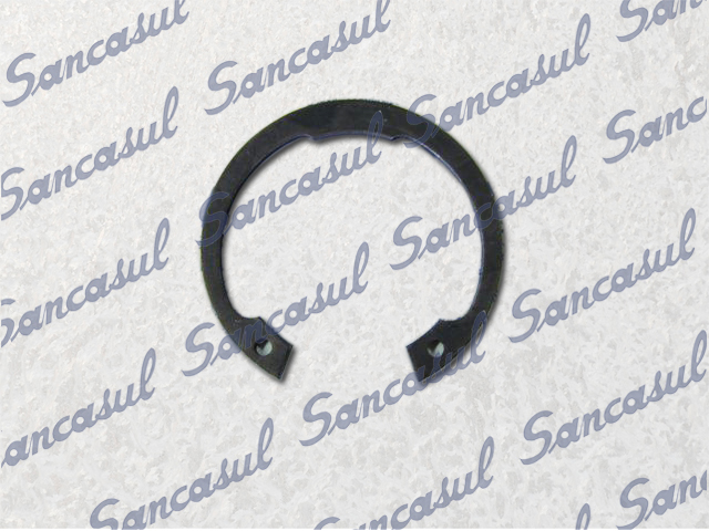 ANILLO DE SEGURIDAD - 100 MK1/2/3/4