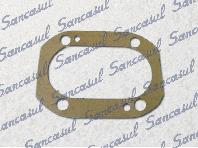 GASKET 0.2MM FOR PUMP OIL SMC180