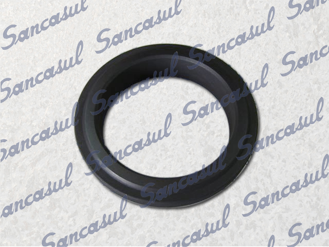 SLIDE RING SPECIAL CARBON SMC 65 